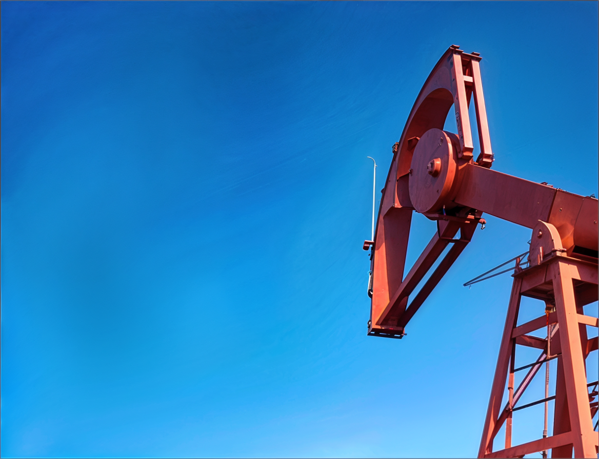 PETROCHEMICAL INDUSTRY
